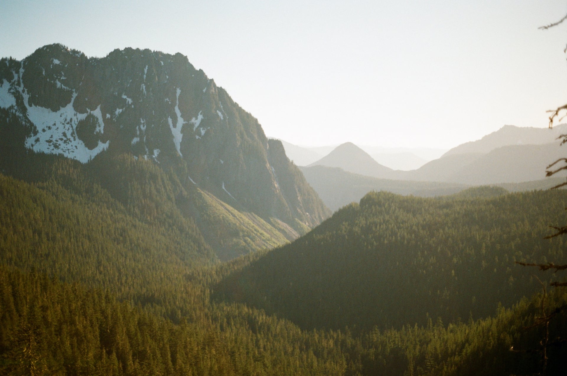 Mount Rainier valley at golden hour